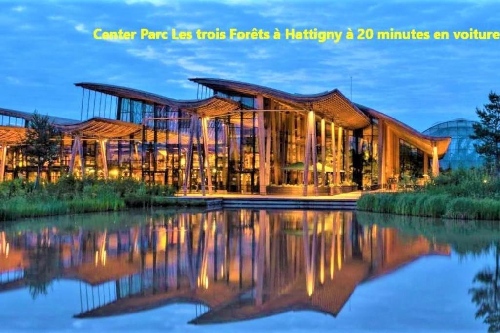 Ferienwohnung De 2 A 6 Personnes - Le Street'Art - Sarrebourg Centre - Gare A 500M - A 20 Minutes De Center Parc Et Parc Animalier Sainte-Croix - Netflix - Wifi Exterior foto