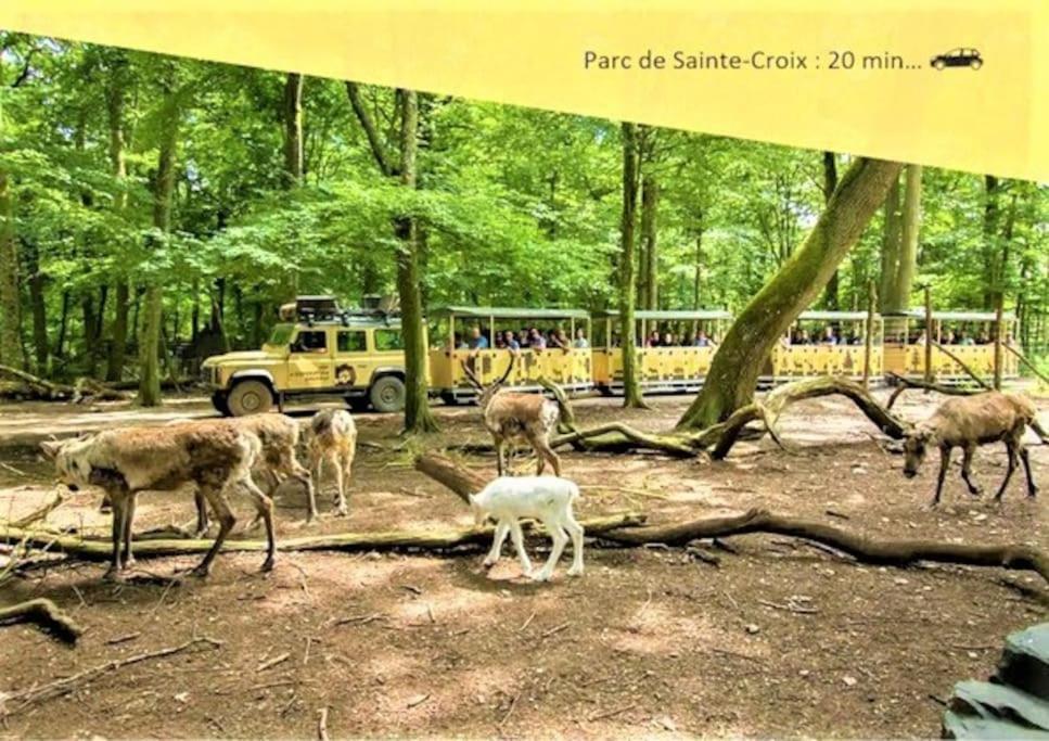 Ferienwohnung De 2 A 6 Personnes - Le Street'Art - Sarrebourg Centre - Gare A 500M - A 20 Minutes De Center Parc Et Parc Animalier Sainte-Croix - Netflix - Wifi Exterior foto
